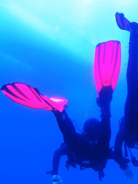 My first scuba dive into the Ocean from Sao Miguel - What You Can Expect from This First Dive Experience