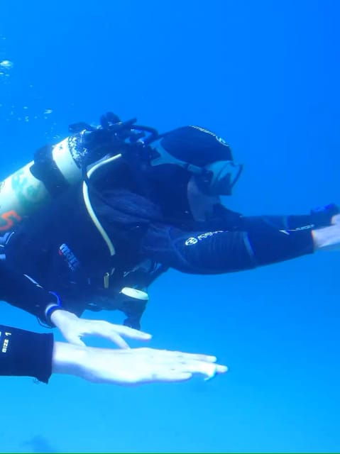 My first scuba dive into the Ocean from Sao Miguel - The Underwater Adventure