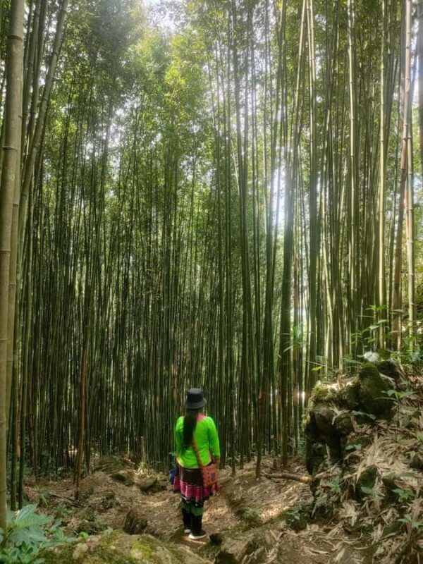 My Grandmothers Hidden Trail: A 1-Day Trek in Sapa - Who This Tour Is Perfect For