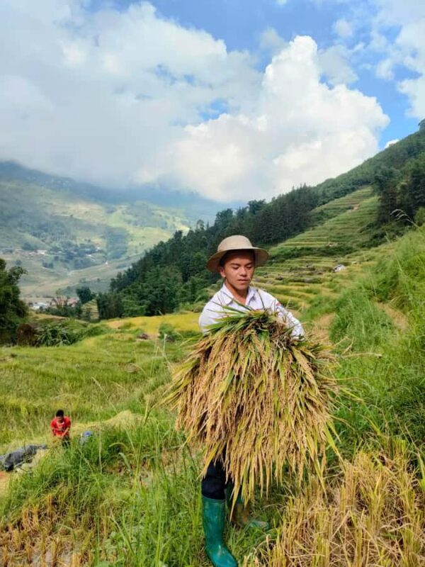 My Grandmothers Hidden Trail: A 1-Day Trek in Sapa - The Sum Up