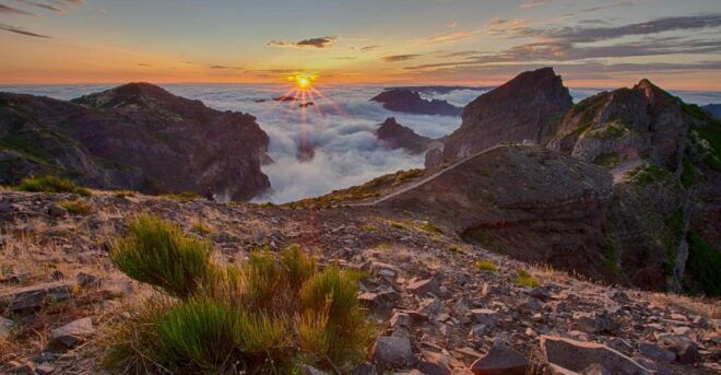 My Next Adventure: Full Day Tailored Madeira 4x4 Exploration - Itinerary