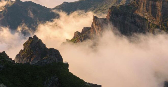 My Next Adventure: Half Day Tailored Madeira 4x4 Exploration - Adventure Itinerary