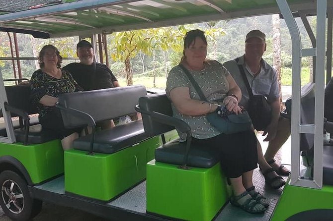 MY SON MORNING PRIVATE TOUR From 7:30a.M to 11:45a.M From Da Nang or Hoi an City - Common Questions