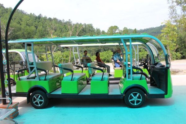 My Son Sanctuary Afternoon Tour and Cruise Trip - Things to Do in Hoi An