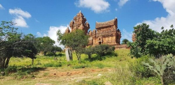 My Son Sanctuary and Hoi an City Full Day Tour - Important Information