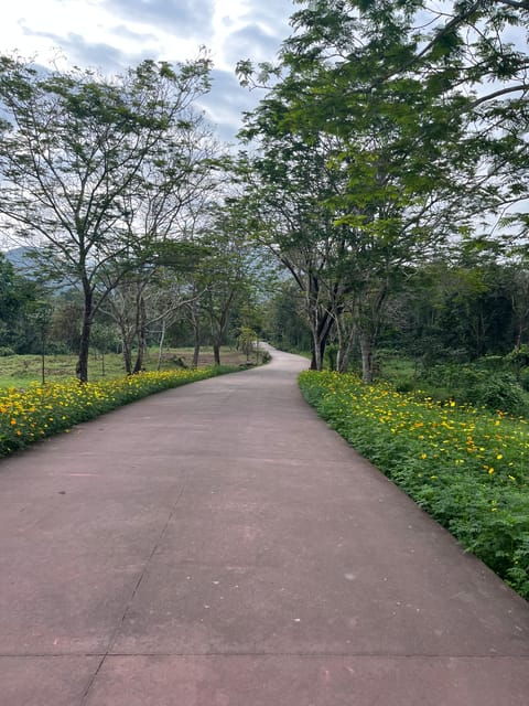 My Son Sanctuary and Marble Mountain Tours and Transfer - Included Services and Fees