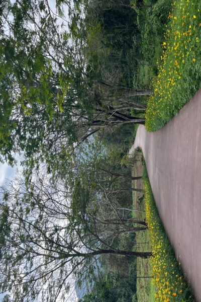 My Son Sanctuary and Marble Mountain Tours and Transfer - Recommended Items to Bring