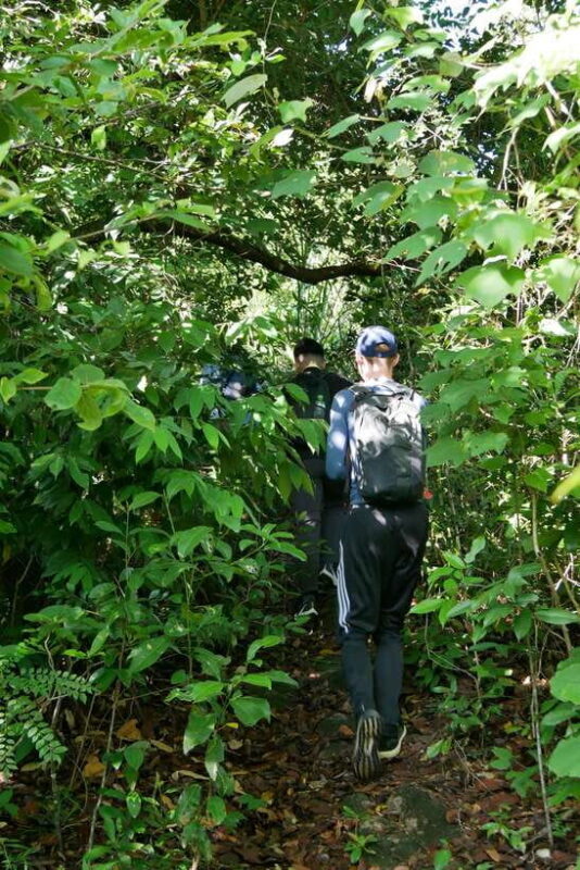 My Son Sanctuary and Mountain Trekking - Pilgrimage - Practical Considerations