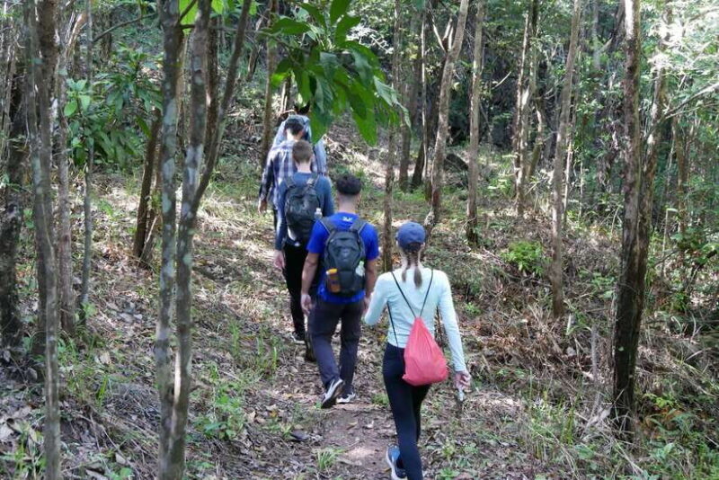 My Son Sanctuary and Mountain Trekking - Pilgrimage - FAQ