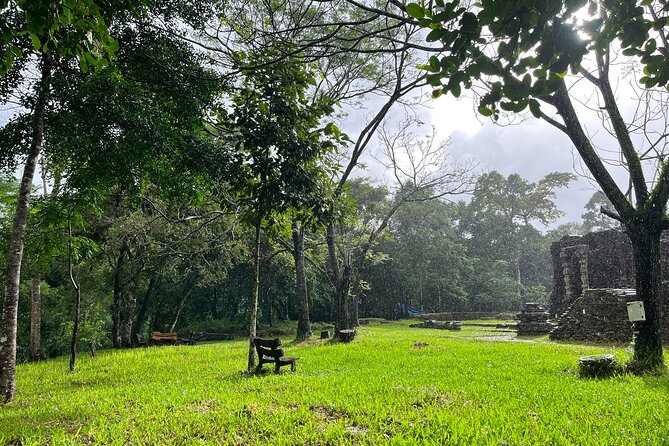 My Son Sanctuary Guided Tour With Rice Paper Making From Da Nang - Directions - Tour Highlights