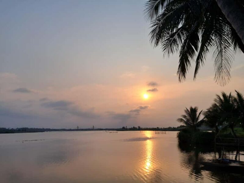 My Son Sanctuary Morning & Early Morning w. Coconut Jungle - A Deep Dive into the Experience