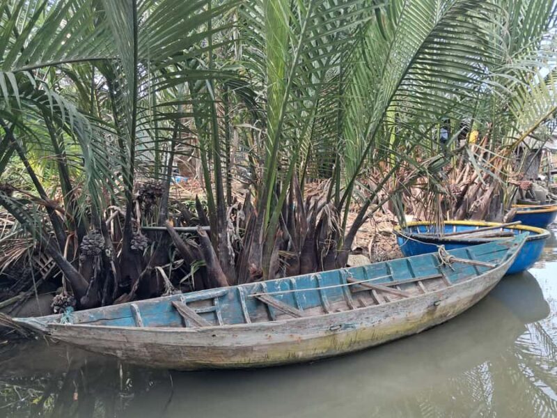 My Son Sanctuary Morning & Early Morning w. Coconut Jungle - Final Thoughts