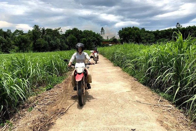 My Son Sanctuary Motorbike Tour From Hoi an - Reviews and Pricing
