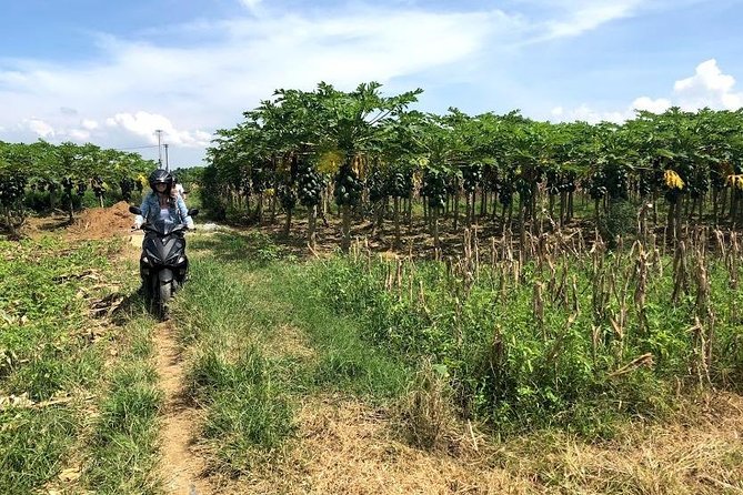 My Son Sanctuary Motorbike Tour From Hoi an - Tour Details