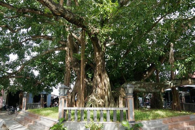 My Son Sanctuary Private Countryside Jeep Tour - The Sum Up