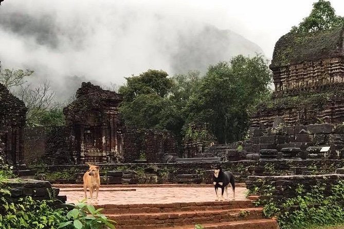 My Son Sanctuary Sunrise Private Tour - The Sum Up