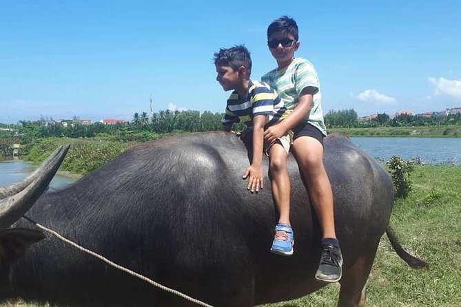 My Son Sanctuary Tour by Car & Hoi An Countryside Tour by Bicycle in One Day - Pricing Details and Inclusions