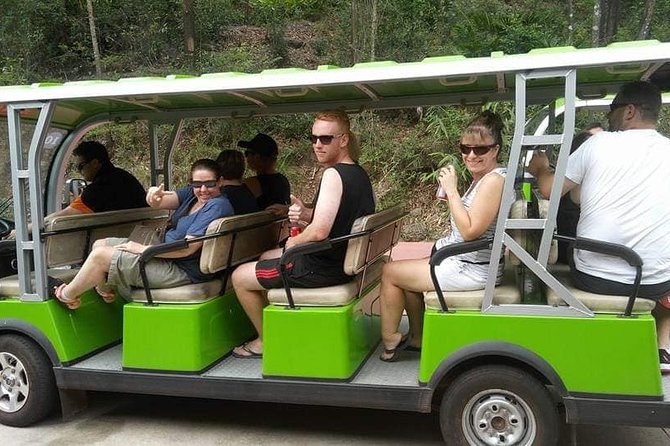 My Son Sunrise or Early Morning Private Tour - The Sum Up