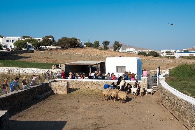 Mykonian Farm Experience - Good To Know