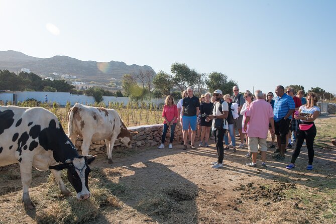 Mykonian Farm Experience - Tour Details