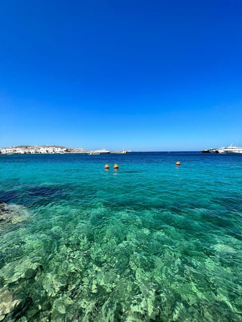 Mykonos: Beach Hopping Tour by Van - The Experience and Guides