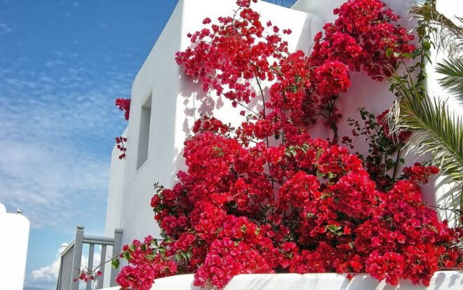 Mykonos: Delos and the City Walking Tour - Important Landmarks on the Tour