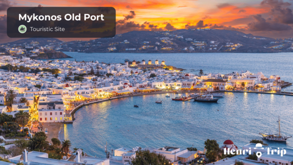 Mykonos & Délos : The Only Guide - Support and Assistance Available