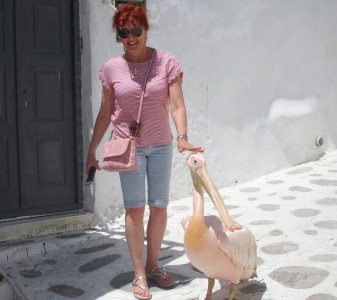 Mykonos: Guided Highlights Tour - Tour Restrictions and Guidelines
