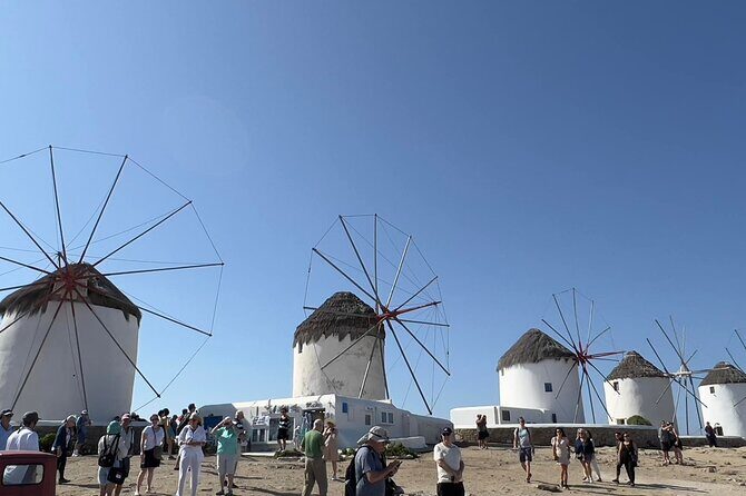 Mykonos Half Day Private Shore Excursion - Who is This Tour Best For?