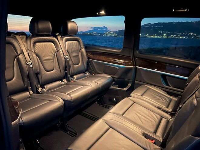 Mykonos: Half Day Tour in a Luxury Van - Participant Restrictions