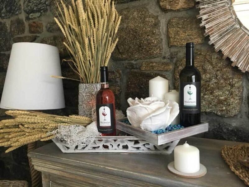 Mykonos: Half-Day Wine Tasting and Snack at a Local House - Who Will Love This Tour?