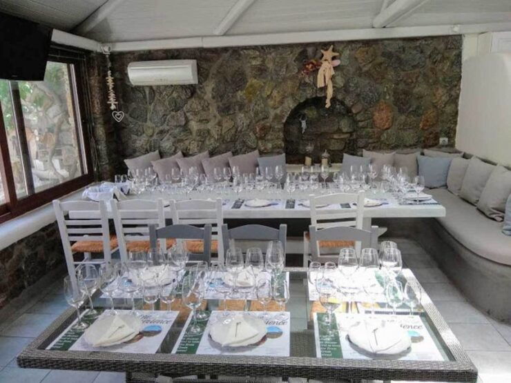 Mykonos: Half-Day Wine Tasting and Snack at a Local House - Booking and Cancellation Policies