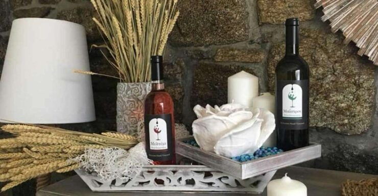 Mykonos: Half-Day Wine Tasting and Snack at a Local House - Pickup and Transportation Details