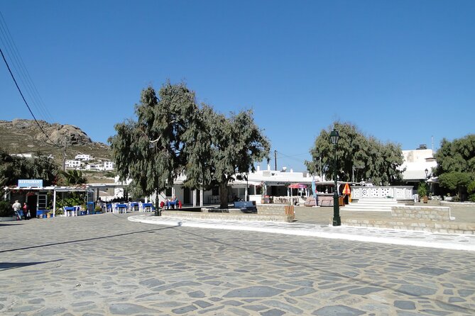 Mykonos Highlights by a Local - Historic Landmarks and Monasteries