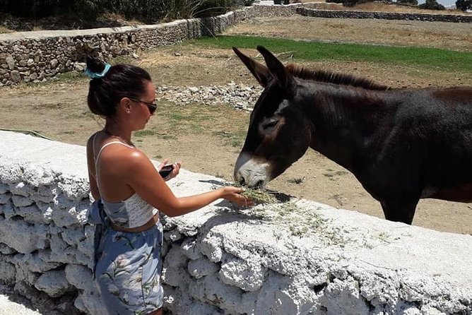 Mykonos Highlights Day Tour With Greek Lunch at Mykonian Split - Tour Overview