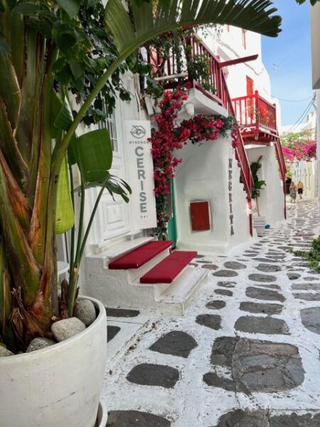 Mykonos Highlights Private Tour From Airport or Cruise Port - Safety Measures and Policies