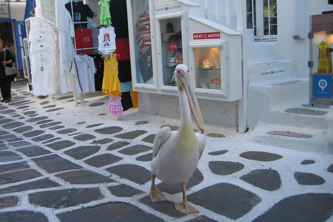 Mykonos Island 2 Days From Athens - Getting to Mykonos Island