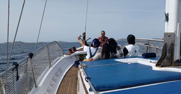 Mykonos: Little Venice and Agios Stefanos Cruise With Lunch - Experience Highlights