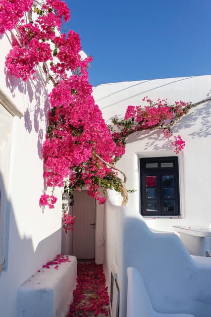 Mykonos: Old Town Walking Tour with Certified Local Guide - The Role of Manto Mavrogenous
