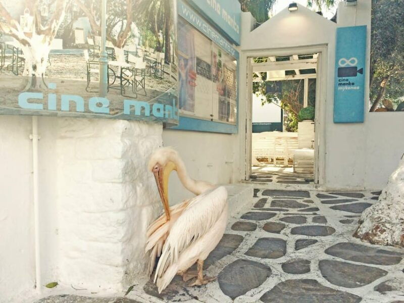 Mykonos: Old Town Walking Tour with Certified Local Guide - Matoyiannia Street and Cine Manto