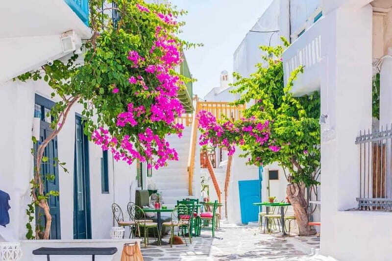 Mykonos Private 4 Hours Van & Walk - Free Port Pick-up - Pricing and Value