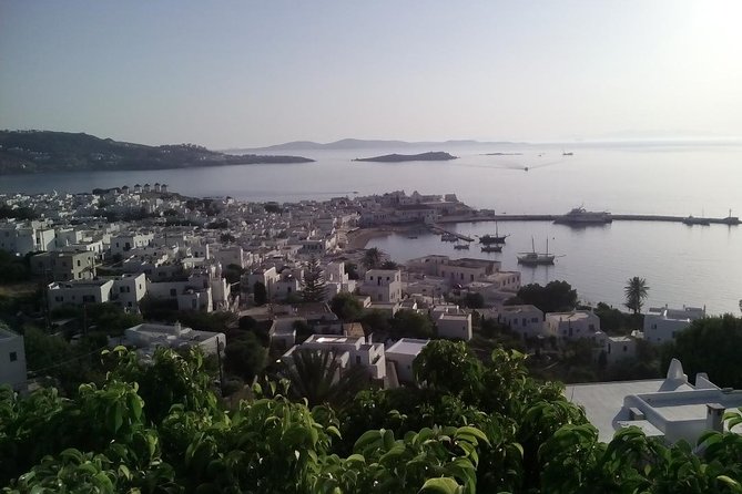 Mykonos Private Airport Transfer Service - Overview of the Service