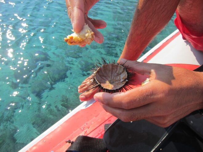 Mykonos: Private Boat Trip and Snorkeling Sea Safari - Scuba Diving and Beach Exploration