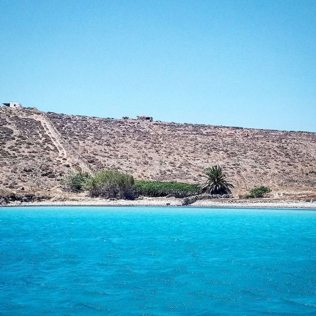 Mykonos: Private Delos and Rhenia Full-Day Cruise With Lunch - Highlights of the Full-Day Cruise Experience