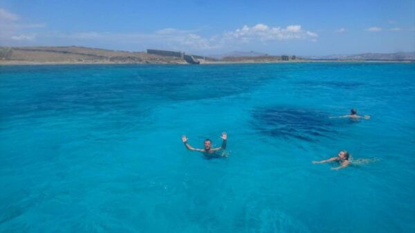 Mykonos: Private Delos and Rhenia Full-Day Cruise With Lunch - Positive Customer Reviews and Overall Experience
