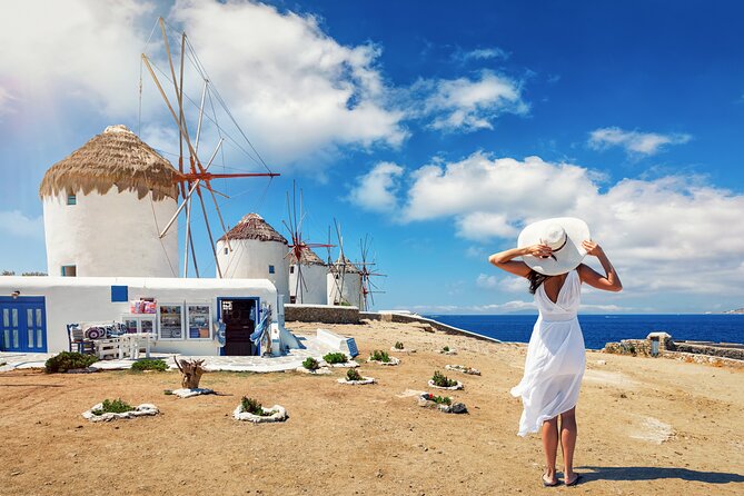 Mykonos Private Island Tour - Tour Highlights