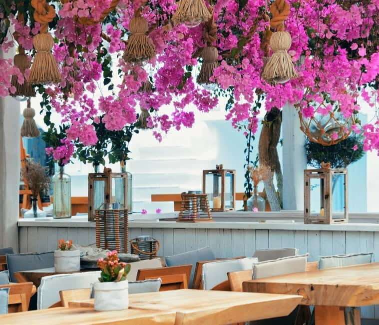 Mykonos: Private Island Tour with Transfers and Greek Meal - Who Is This Tour Best For?