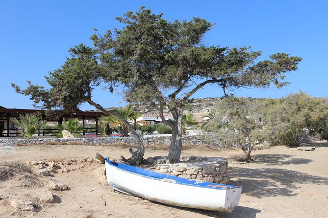 Mykonos Private Tour: Town Wonders & Beach Break - Good To Know