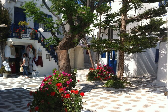 Mykonos Private Tour: Town Wonders & Beach Break - Pickup Information