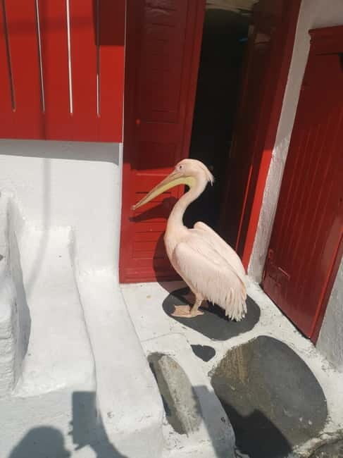 Mykonos: Private Tour with Range Rover - The Sum Up